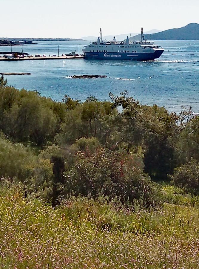 Lefteris Beautiful Aegina Βίλα Εξωτερικό φωτογραφία
