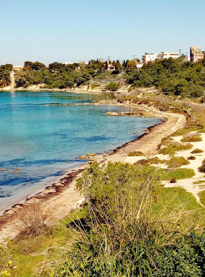 Lefteris Beautiful Aegina Βίλα Εξωτερικό φωτογραφία
